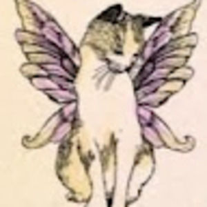 Meet your Posher, Nadia